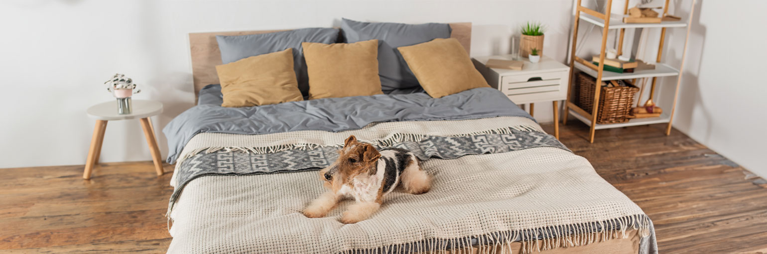 King Beds
