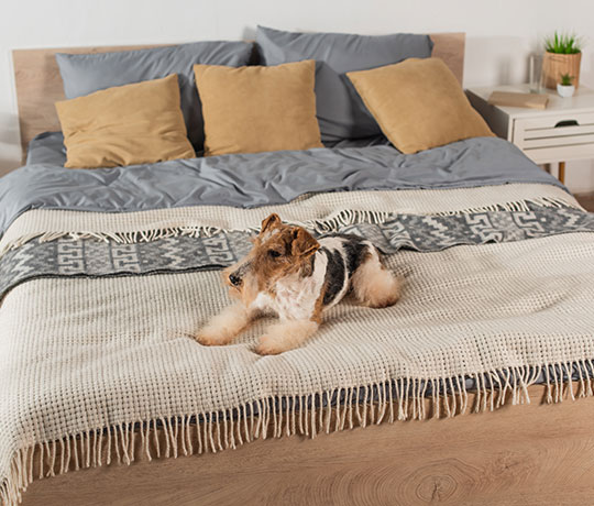 King Beds
